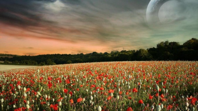 网站制作注意这些事项 让营销效果更佳